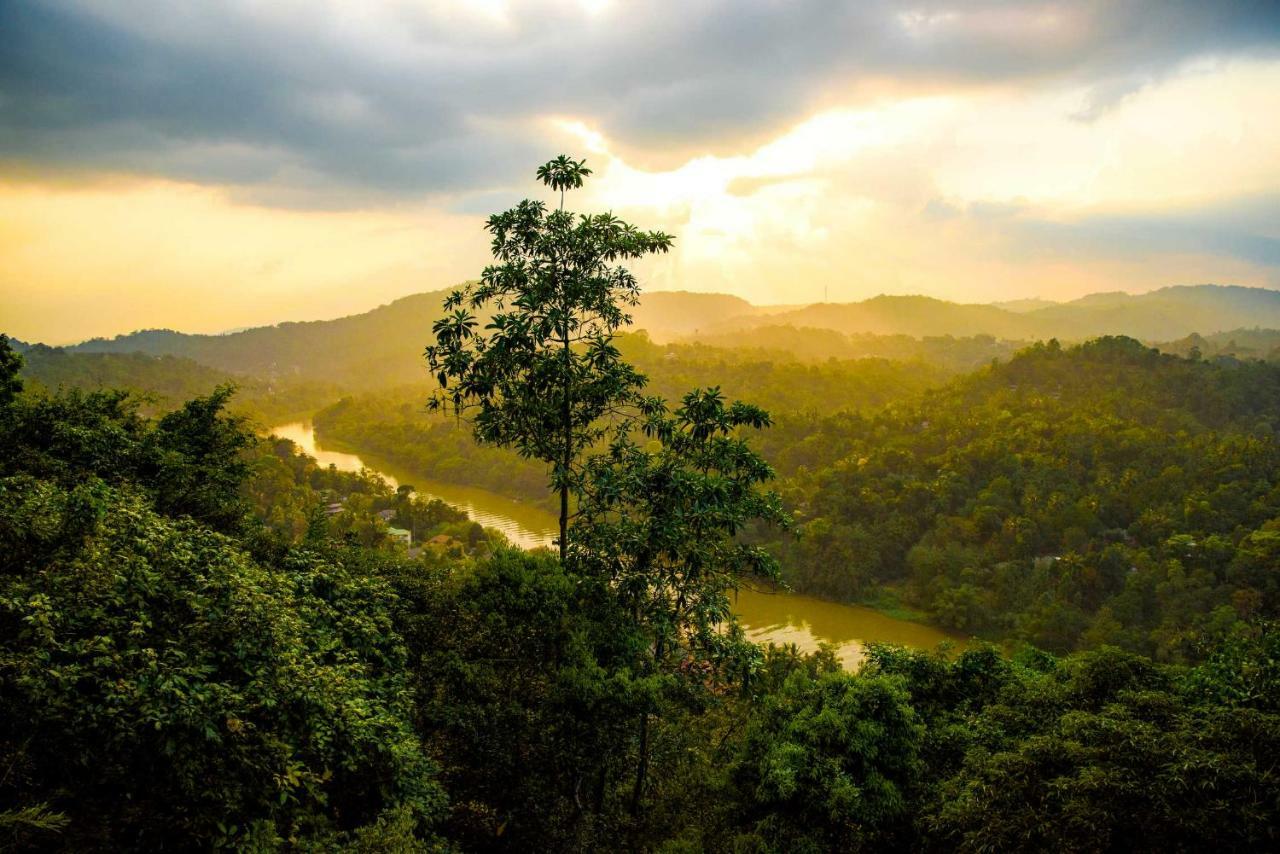Villa Rosa Kandy Kültér fotó