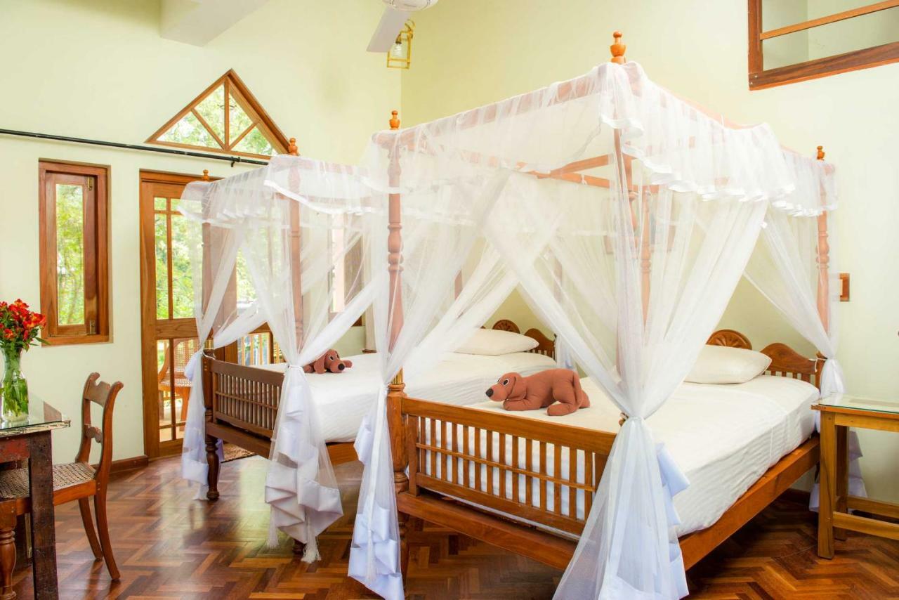 Villa Rosa Kandy Kültér fotó